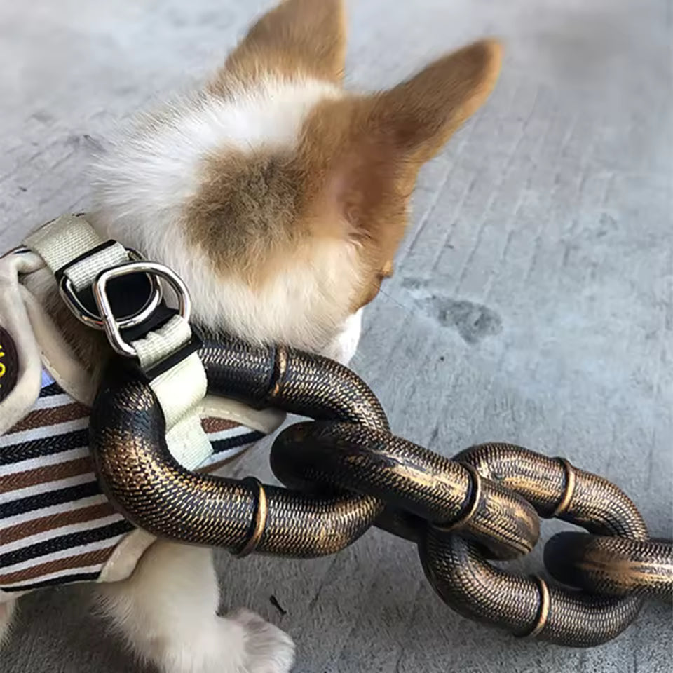 Chain Leash