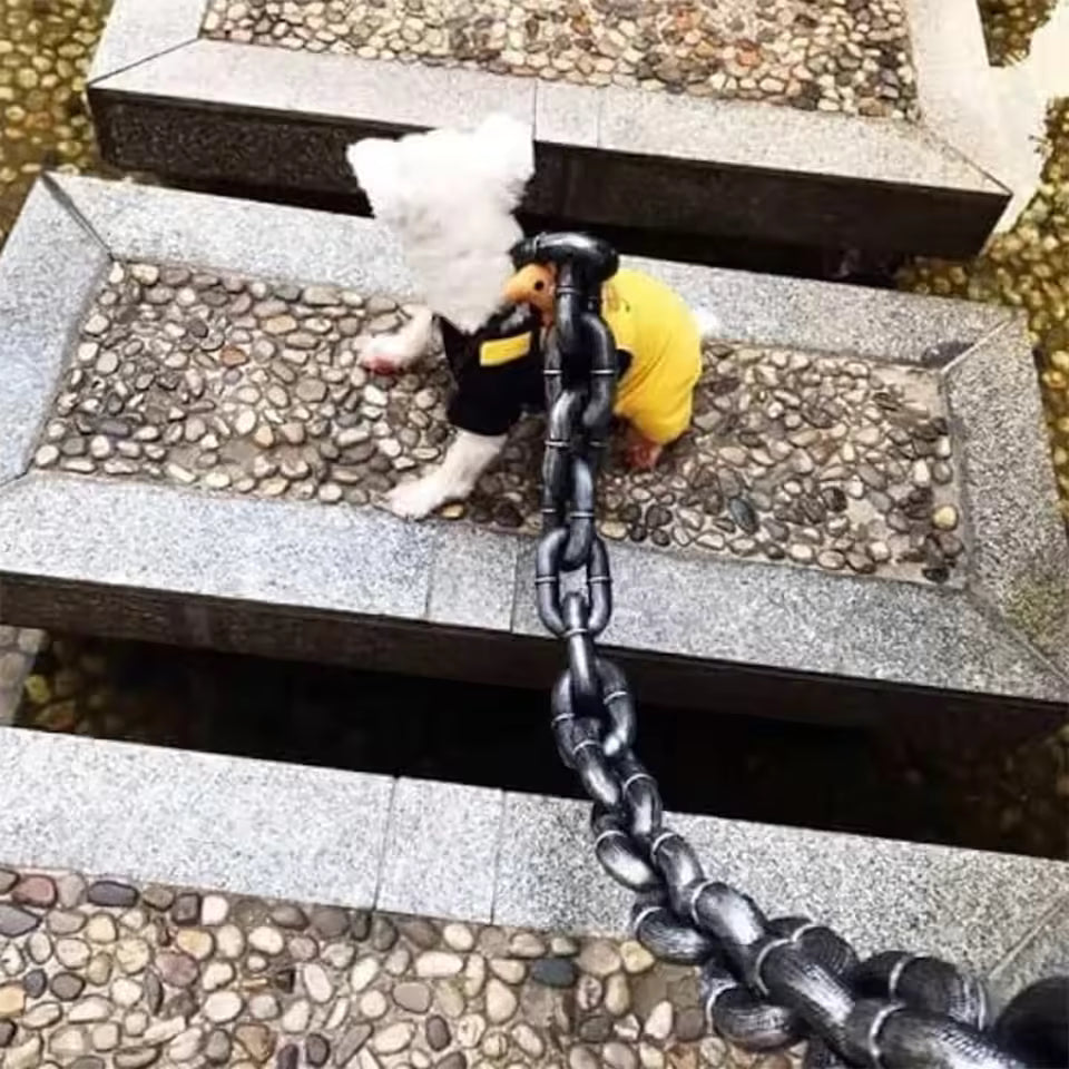 Chain Leash