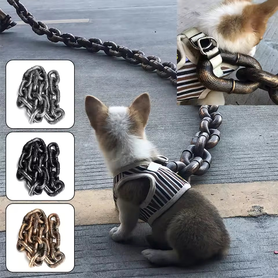 Chain Leash