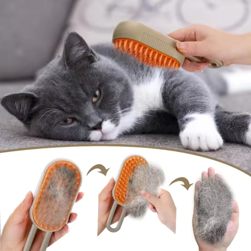 Steambrush