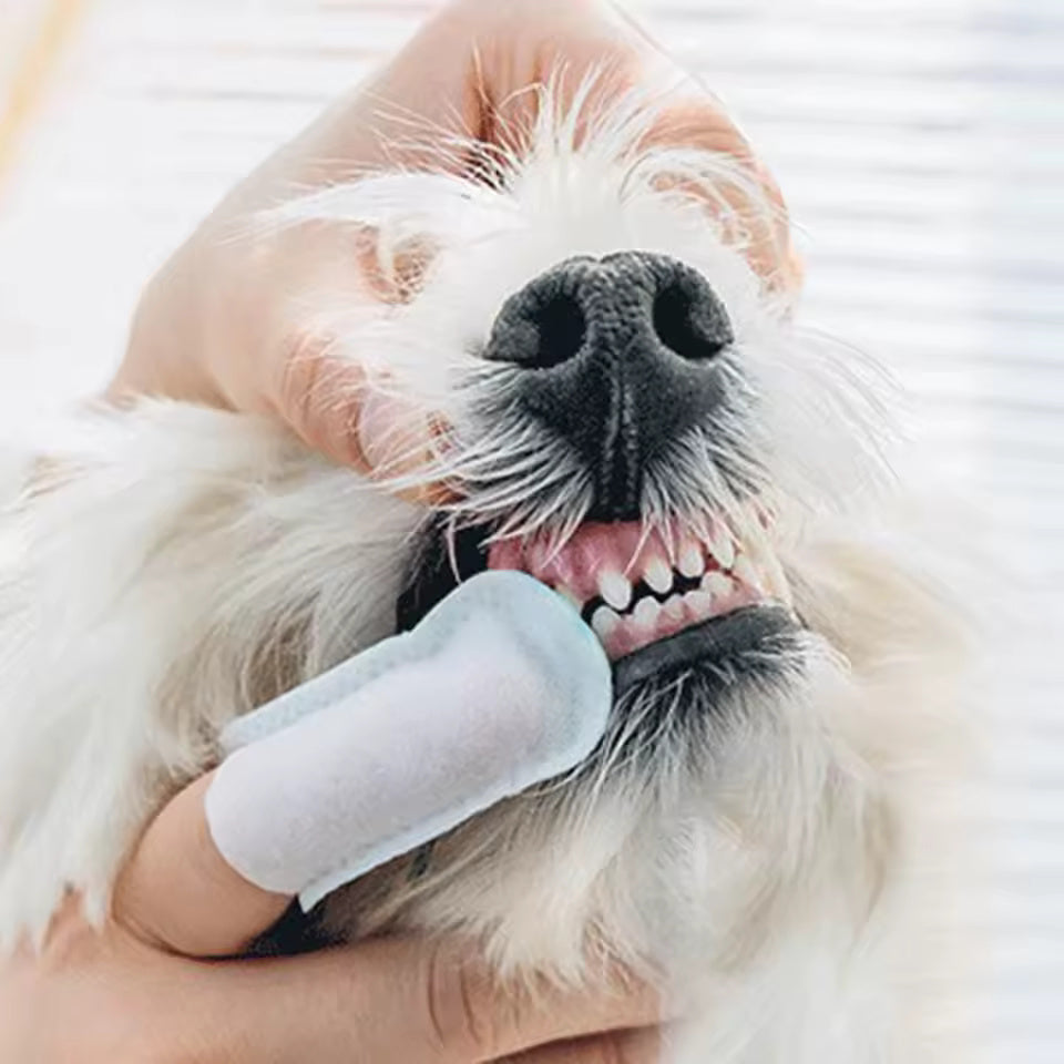 Pet Dental Cleaner (50 Wipes)