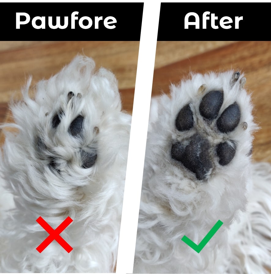 Smart Paw Trimmer