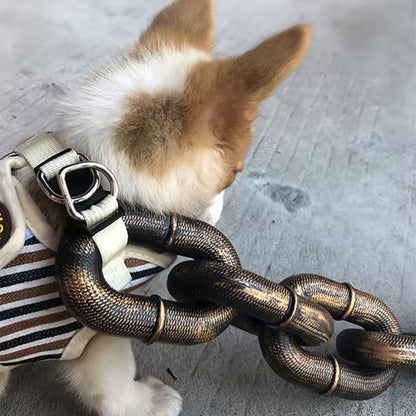 Chain Leash