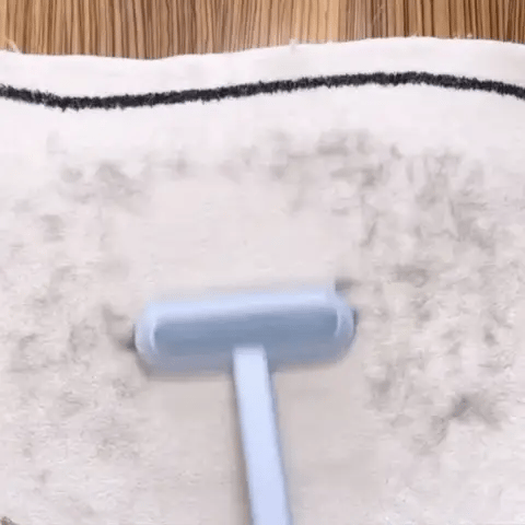 Pet Hair Removal Brush