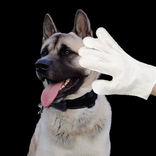 Deodorising Pet Gloves (6 Wipes)