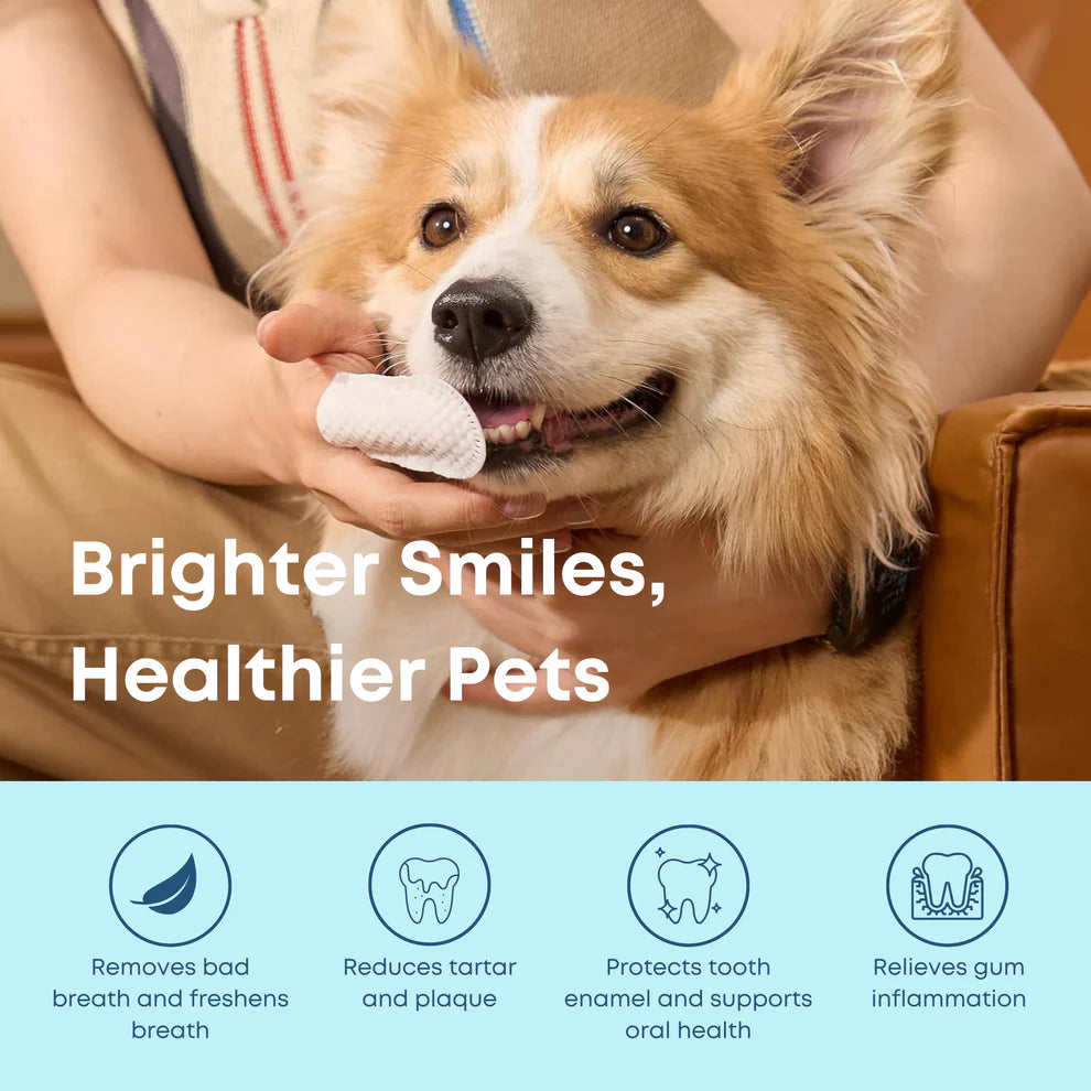 Pet Dental Cleaner (50 Wipes)