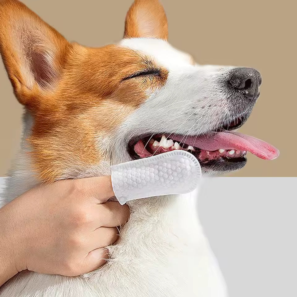 Pet Dental Cleaner (50 Wipes)